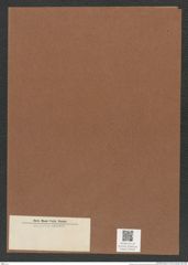 Diatomeae indet. Zeichnungen Sammlung Grunow Mappe 05459 (Herbarium_W_Grunow_drawings_Folder_05459)